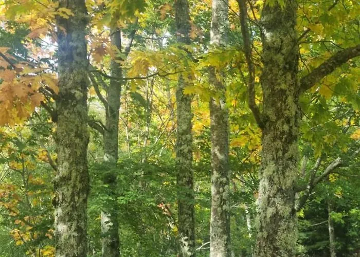 Serra 1506 Geopark S Estrela